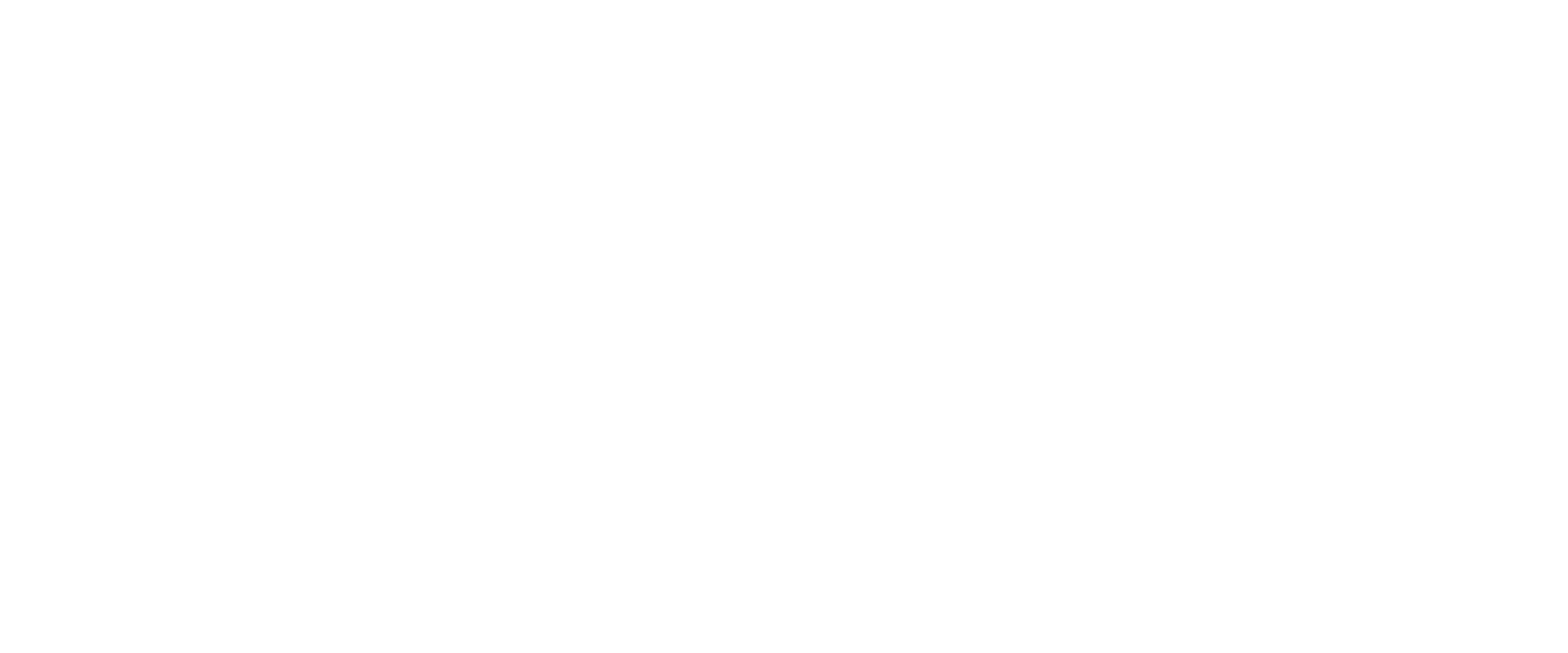 Système de Paiement Sécurisé Stripe - ARAKNYD
